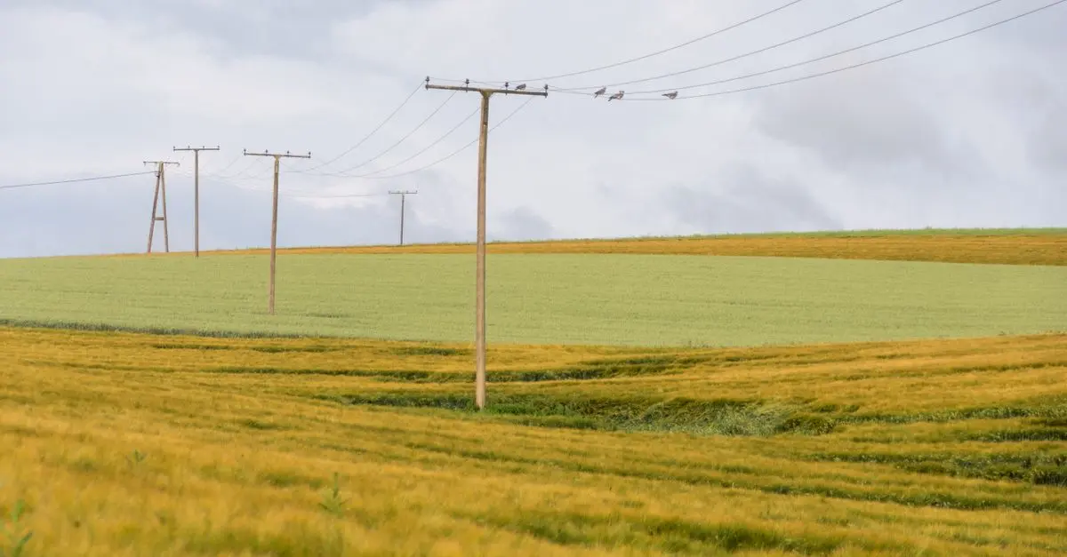 La fibre dans les zones rurales : défis et solutions