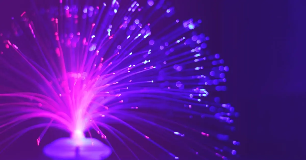 Les raisons de choisir la fibre chez soi